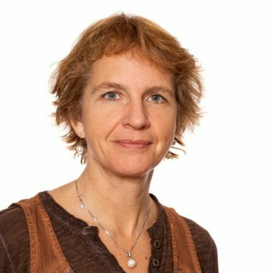 Karin Isaksson Rø, instituttsjef og spesialist i arbeidsmedisin, LEFO. 

            
                Foto: privat