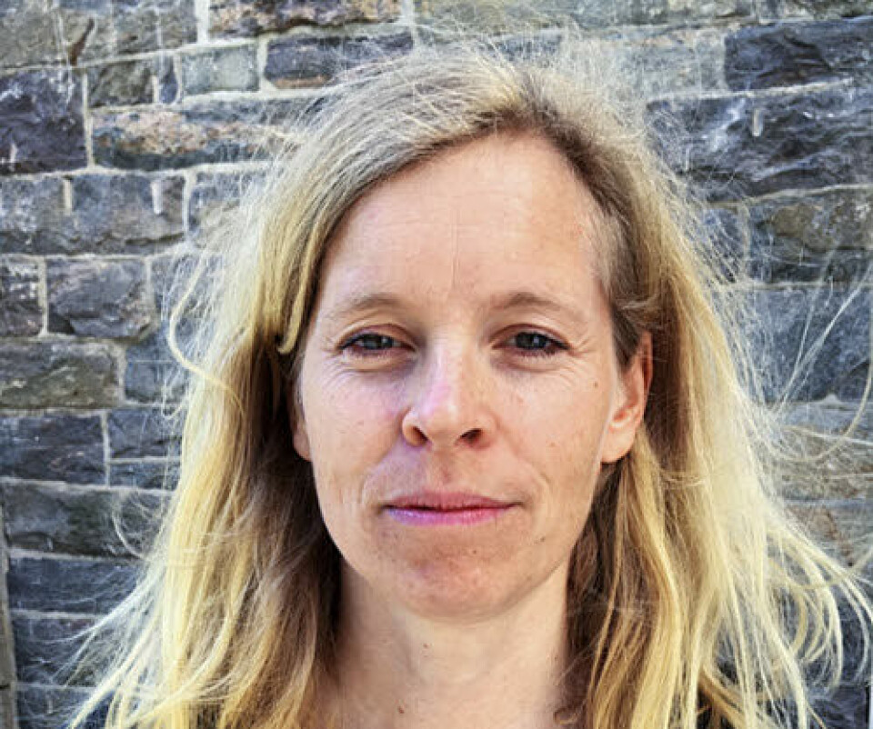 Kari Aarø