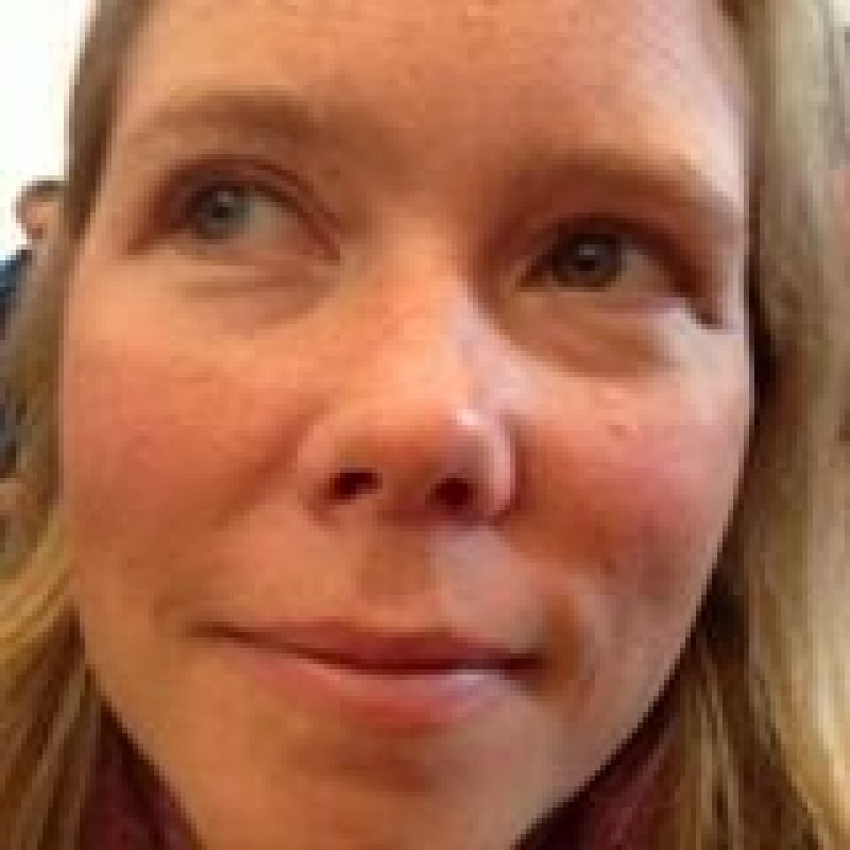 BIOINGENIØR: Randi Lilleengen Beitdokken, har vært seniorrådgiver i Mattilsynet og jobbet som bioingeniør på Ahus.
Foto: Arkiv