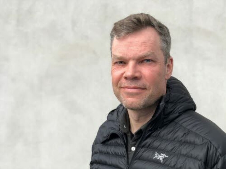Morten Bergkåsa