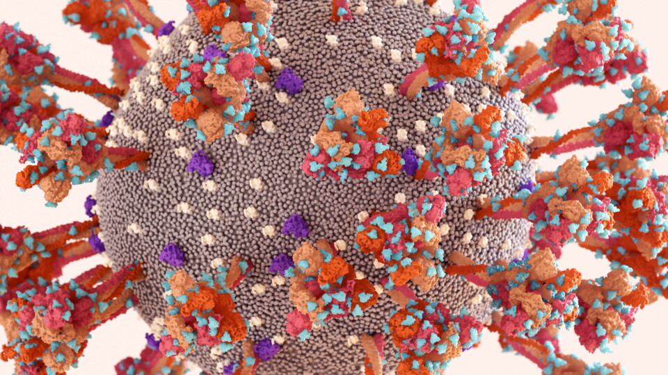 OMIKRON: En nylig gjennomført in vitro-analyse viste også at legemiddelet opprettholder fullstendig nøytralisering av pseudovirus med mutasjoner identiske med omikron-varianten av SARS CoV-2-viruset. Illustrasjonsbilde: Getty Images Foto: