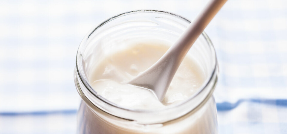 MER FORSKNINGS TRENGS: Sammenhengen mellom inntak av probitoka, som yoghurt, må bekreftes av andre studier før det er mulig å si at probiotika kan beskytte mot svangerskapsforgiftning. Illustrasjon: Colourbox Foto: