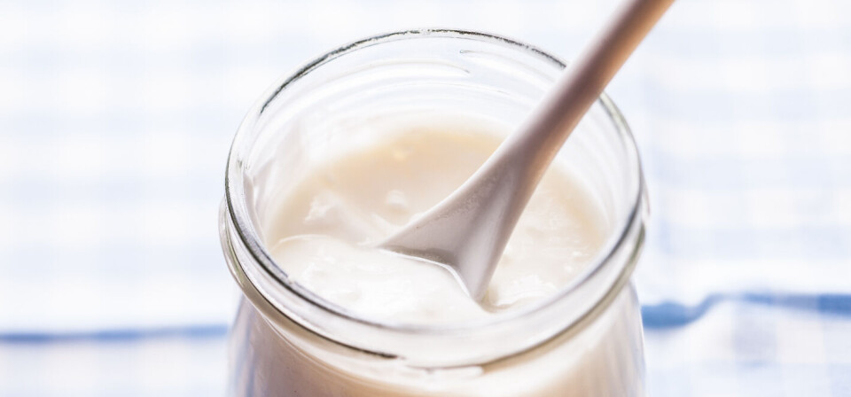 MER FORSKNINGS TRENGS: Sammenhengen mellom inntak av probitoka, som yoghurt, må bekreftes av andre studier før det er mulig å si at probiotika kan beskytte mot svangerskapsforgiftning. Illustrasjon: Colourbox Foto: MER FORSKNINGS TRENGS: Sammenhengen mellom inntak av probitoka, som yoghurt, må bekreftes av andre studier før det er mulig å si at probiotika kan beskytte mot svangerskapsforgiftning. Illustrasjon: Colourbox Foto: