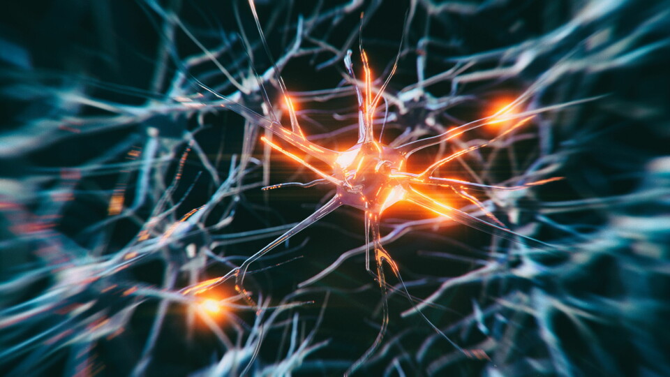ENERGIFORSYNING: Evandro Fei Fangs forskningsgruppe er blant de første som sannsynliggjør at en opphopning av og manglende fornyelse av mitokondrier, «cellenes energiverk», er en viktig pådriver for utviklingen av Alzheimers sykdom. Illustrasjonsfoto: Getty Images Foto: