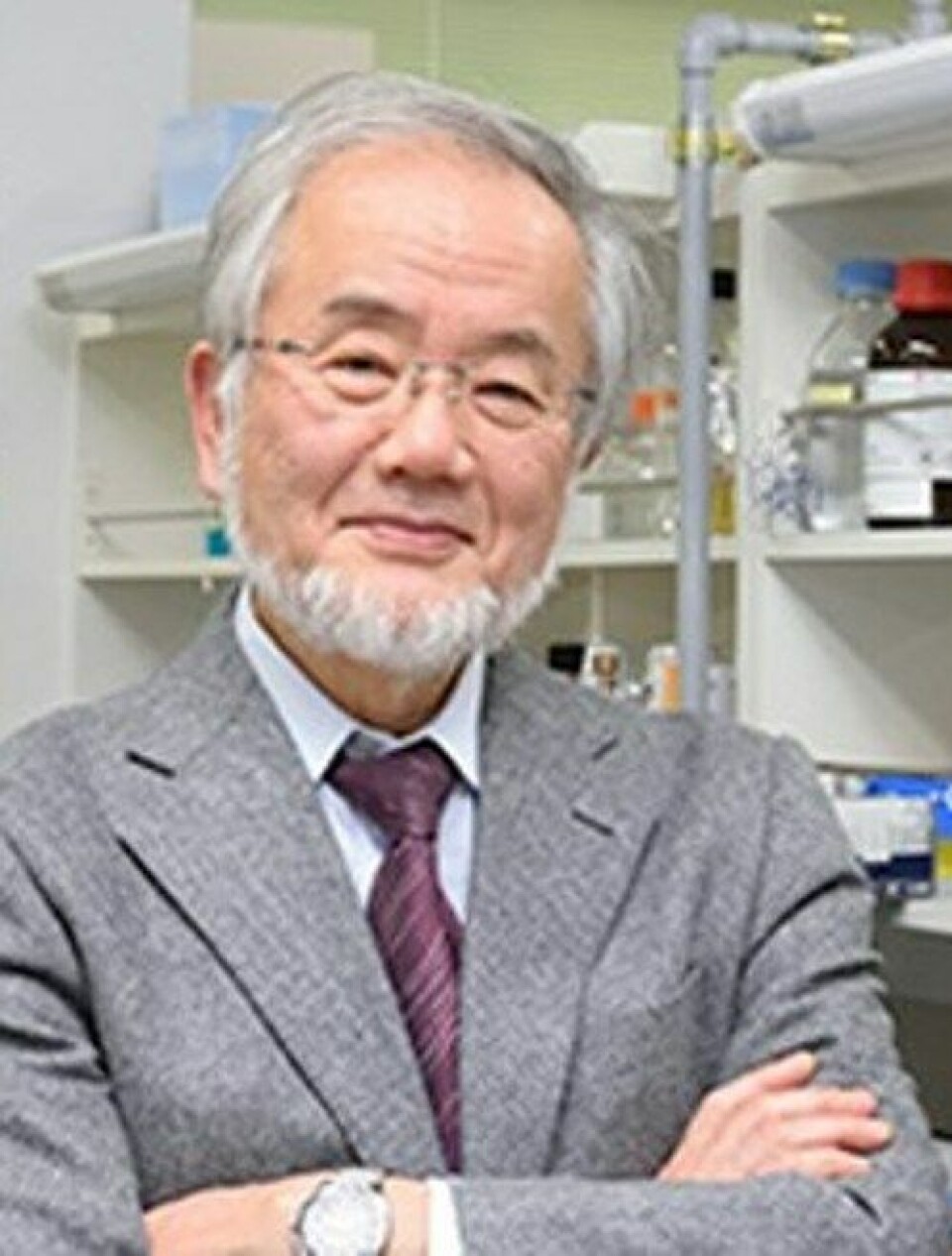 PARADIGMESKIFTE: Japaneren Yoshinori Ohsumis forskning har resultert i et paradigmeskifte i forståelsen av hvordan celler brytes ned og gjenvinner cellulært materiale. Foto: Karolinska Institutet
