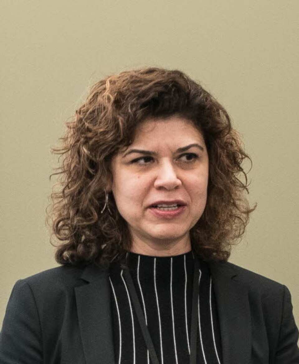 Sayeh Ahrabi, områdedirektør i Statens legemiddelverk (SLV).
Foto: Vidar Sandnes