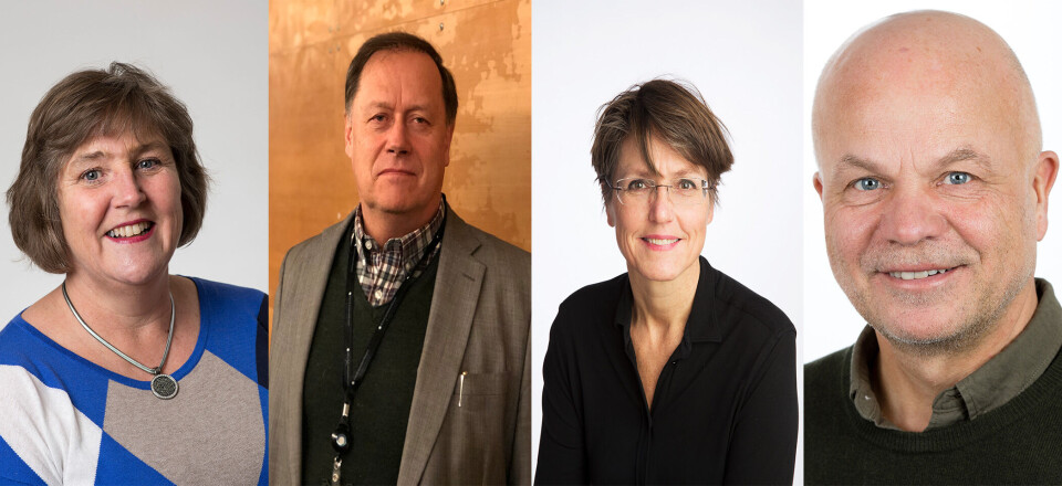 SVARER UT: Fagdirektør Runa Heimstad ved St. Olavs hospital (t.v.), fagdirektør Pål Wiik ved Akershus universitetssykehus, fagdirektør Marta Ebbing i Helse Bergen og fagdirektør Eldar Søreide i Helse Stavanger har svart Dagens Medisin om bruken av mini-metodevurderinger i deres sykehus. Foto: St. Olavs hospital/Ahus/FHI/SUS SVARER UT: Fagdirektør Runa Heimstad ved St. Olavs hospital (t.v.), fagdirektør Pål Wiik ved Akershus universitetssykehus, fagdirektør Marta Ebbing i Helse Bergen og fagdirektør Eldar Søreide i Helse Stavanger har svart Dagens Medisin om bruken av mini-metodevurderinger i deres sykehus. Foto: St. Olavs hospital/Ahus/FHI/SUS