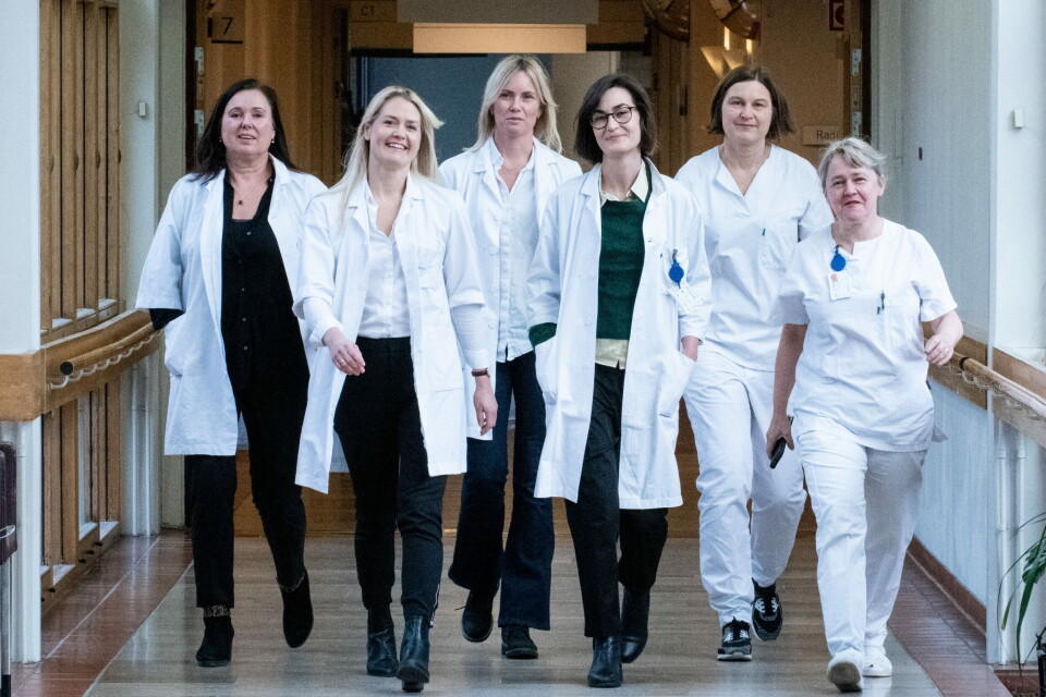NY STUDIE: Seniorforsker Kristin K. Jørgensen, stipendiat Kristin H. Bjørlykke, stipendiat Ingrid Jyssum, stipendiat Hilde S. Ørbo, seniorforsker Silje W. Syvertsen og seniorforsker Guro L. Goll i Nor-vaC-gruppen, har publisert nye resultater om gjentatte vaksinedoser til immunsupprimerte pasienter. Foto: Vidar Sandnes Foto: NY STUDIE: Seniorforsker Kristin K. Jørgensen, stipendiat Kristin H. Bjørlykke, stipendiat Ingrid Jyssum, stipendiat Hilde S. Ørbo, seniorforsker Silje W. Syvertsen og seniorforsker Guro L. Goll i Nor-vaC-gruppen, har publisert nye resultater om gjentatte vaksinedoser til immunsupprimerte pasienter. Foto: Vidar Sandnes Foto:
