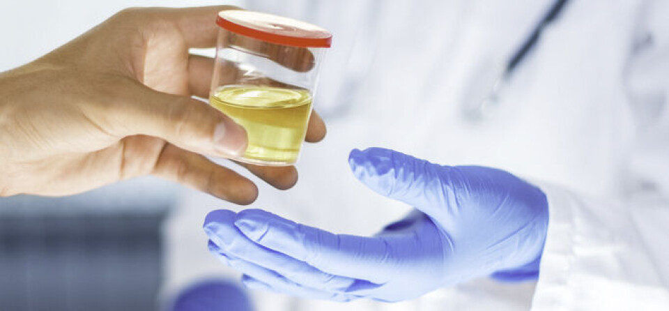 AVVENTE: Hos kvinner med lette til moderate plager kan det være en god idé å drikke masse vann og avvente noen dager før man eventuelt starter med antibiotika, ifølge Ingvild Vik. Foto: Gettyimages AVVENTE: Hos kvinner med lette til moderate plager kan det være en god idé å drikke masse vann og avvente noen dager før man eventuelt starter med antibiotika, ifølge Ingvild Vik. Foto: Gettyimages