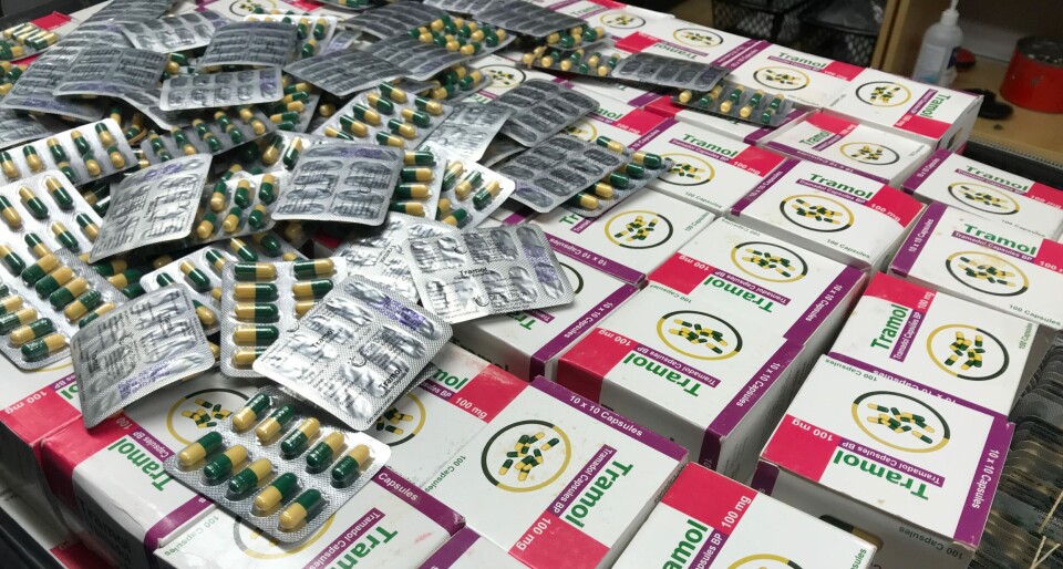 REKORD: I juni gjorde Tolletaten det største tollbeslaget av tramadol noensinne. Nærmere 184 000 tramadol-kapsler fant tollerne i kofferten til to reisende. Foto: Tolletaten
