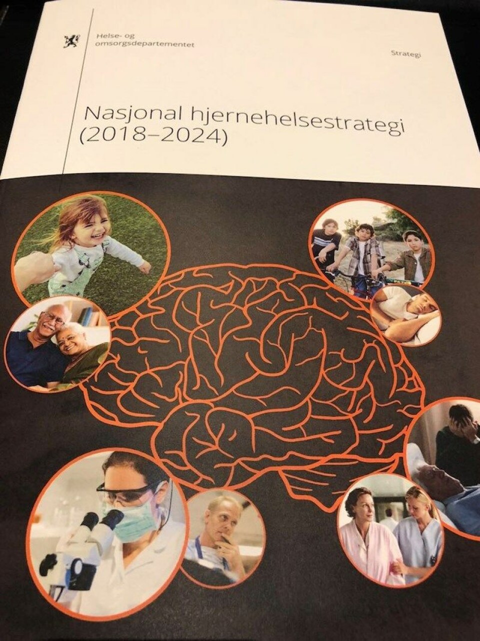 «Hjernesukk»
