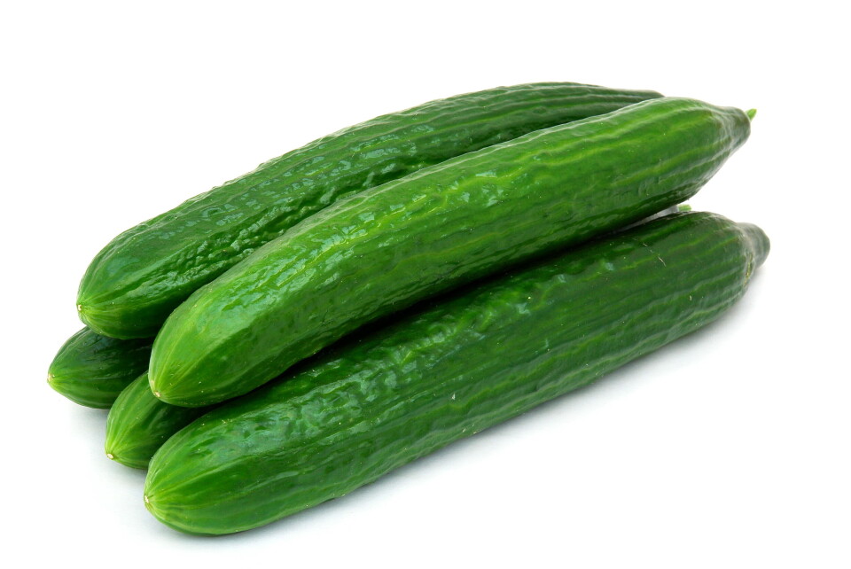 SALMONELLA: Agurk fra en spansk leverandør peker seg ut som sannsynlig smittekilde etter en omfattende etterforskning av det nasjonale salmonellautbruddet. (Disse fem agurkene er imidlertid uskyldige.) Foto: Colourbox Foto: SALMONELLA: Agurk fra en spansk leverandør peker seg ut som sannsynlig smittekilde etter en omfattende etterforskning av det nasjonale salmonellautbruddet. (Disse fem agurkene er imidlertid uskyldige.) Foto: Colourbox Foto: