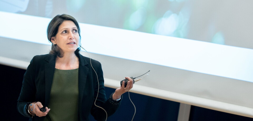 FOR MYE FOKUS PÅ PRIS: – Det nytter ikke å ha flotte fasiliteter hvis man ikke kan tilby norske pasienter de nyeste og beste medisinene, og dette må vi kunne snakke om uten at diskusjonen umiddelbart blir redusert til et spørsmål om pris, sier Roche Norges avtroppende direktør, Rajji Mehdwan. Foto: Vidar Sandnes