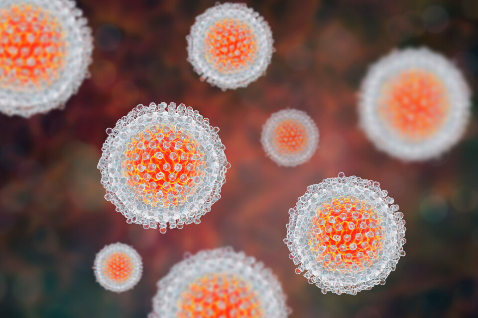 ANBUDSVINNER: Gilead topper anbefalingslisten for 12 av 16 hepatitt C-diagnoser. Foto: Getty Images