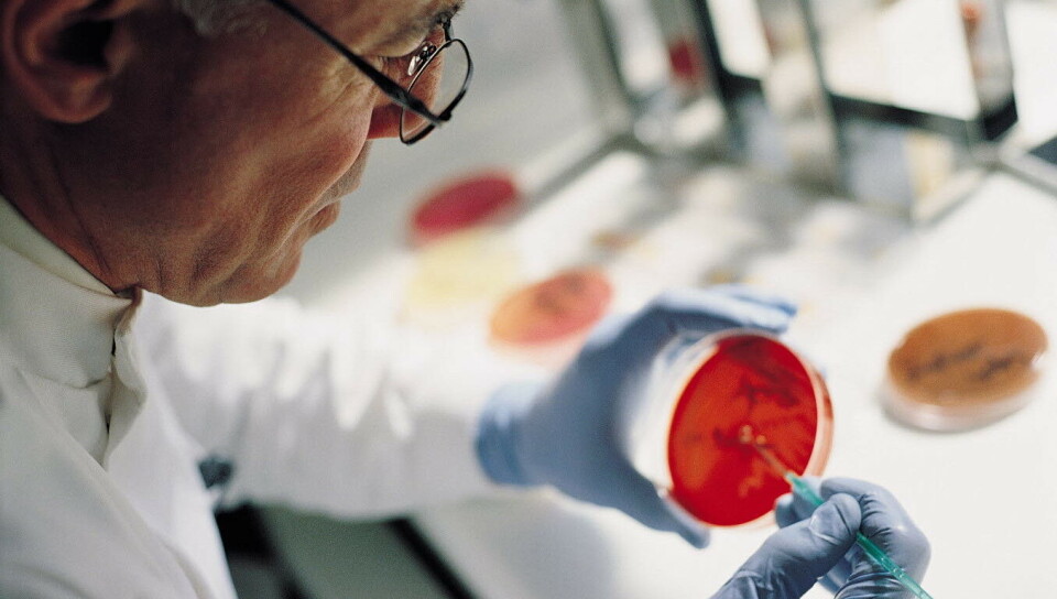 Ifølge Merck vil medarbeidere som mister jobben få muligheten til å søke andre stillinger i selskapet eller få en «omfattende sluttpakke». Foto: Illustrasjonsfoto: Getty Images