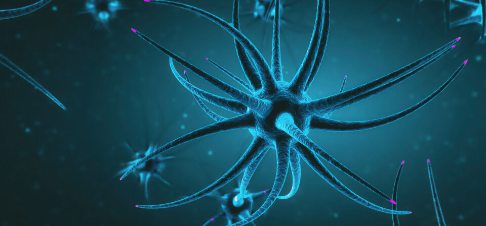 Foto: iStock/Getty Images