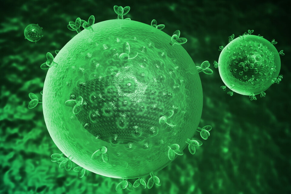 NY RAPPORT: En ny rapport publisert av European Centre for Disease Prevention and Control (ECDC) og Verdens helseorganisasjon (WHO) viser en nedgang på 24 prosent av diagnostiserte HIV-tilfeller i perioden 2019-2020. Illustrasjonsbilde: Colourbox Foto: