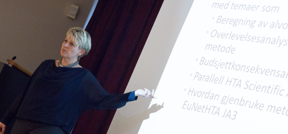FLERE SEMINARER: Kristin Svanqvist foreslo flere seminarer som SLV ønsker å avholde, for å få til bedre metodevuderinger i fremtiden. Foto: Lasse Moe
