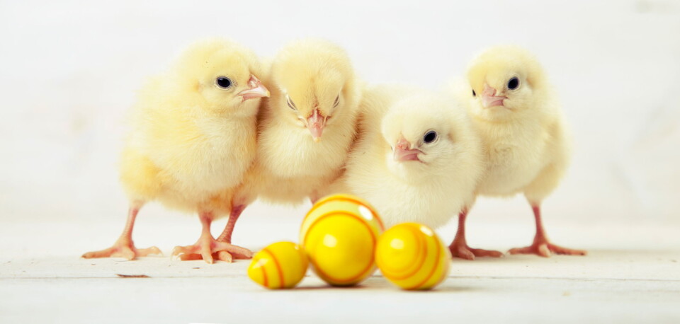 Foto: Getty Images