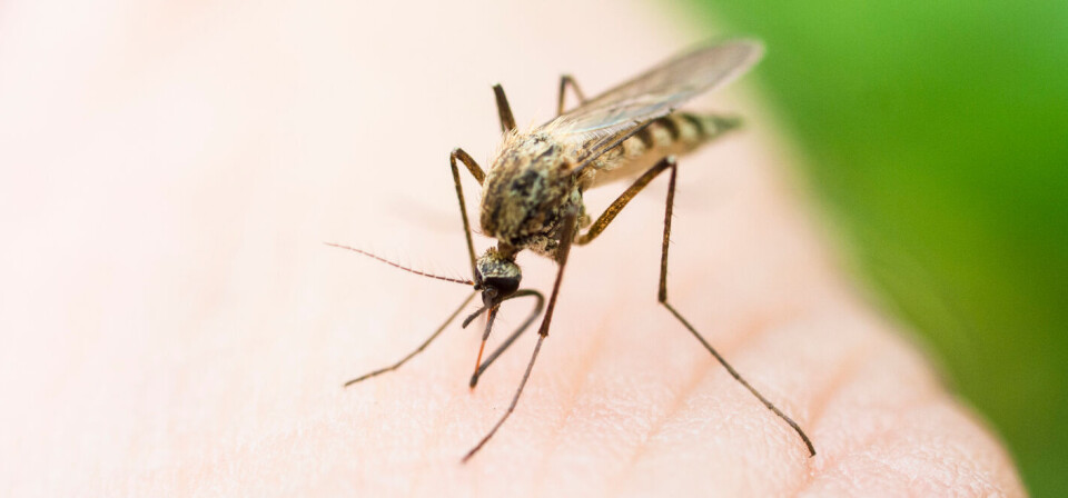 Foto: Thinkstock