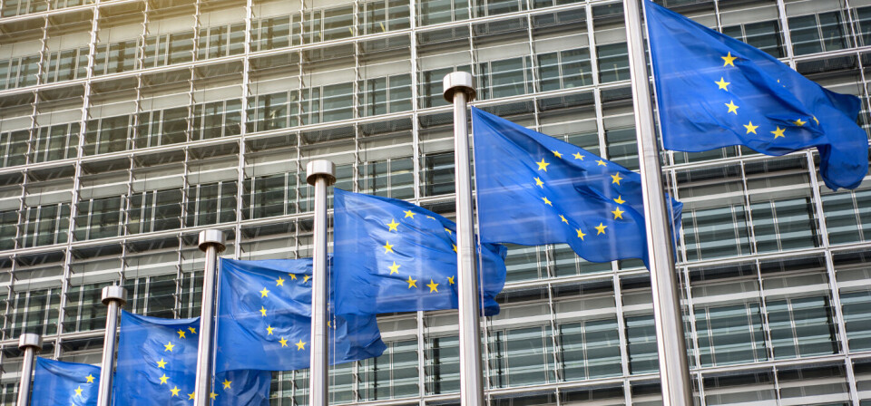 Foto: iStock/Getty Images