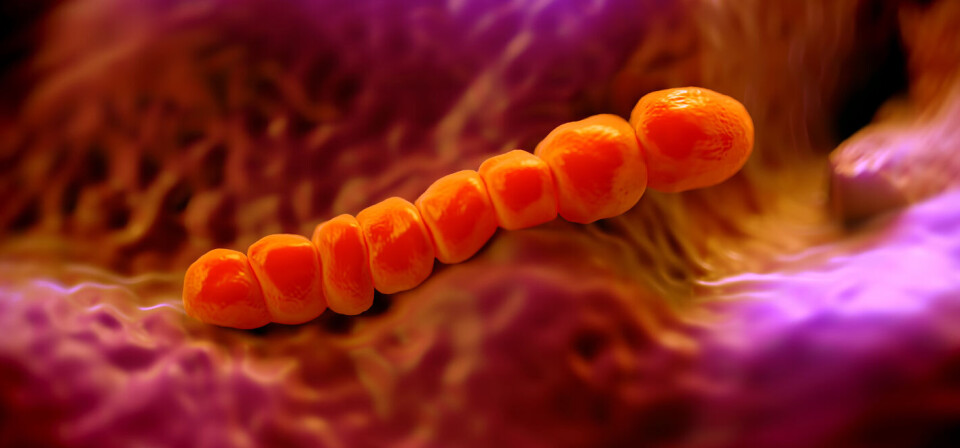 Foto: Thinkstock