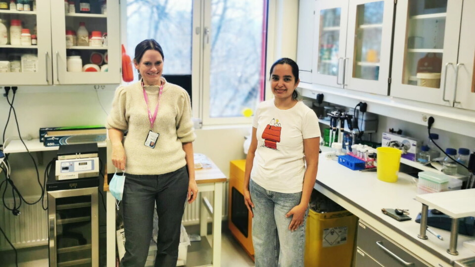 HAR STORE PLANER: Daglig leder Marit Inngjerdingen og Flourina Thakor i immunterapi-selskapet Cellmover. Her avbildet på laboratoriet i Oslo Cancer Clusters lokaler i Oslo. Kathrin Hnida er i foreldrepermisjon og derfor ikke til stede på bildet. Foto: Privat