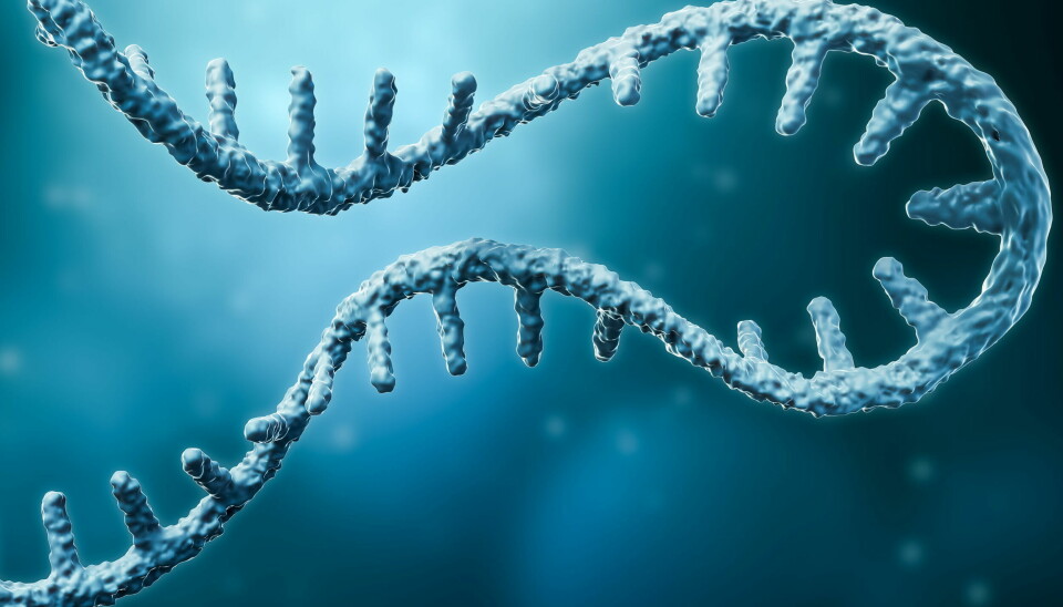 mRNA-TEKNOLOGI: Det tyske legemiddelselskapet BioNTech vil bruke erfaringene sine fra koronatiden til utviklingen av en kreftvaksine som et alternativ til cellegift. Illustrasjonsbilde: Getty Images Foto: