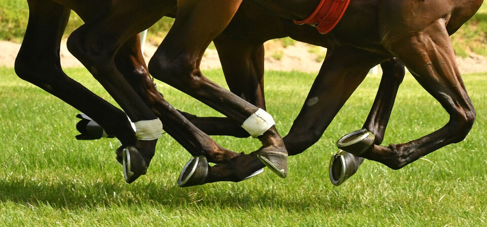 Foto: iStock/Getty Images