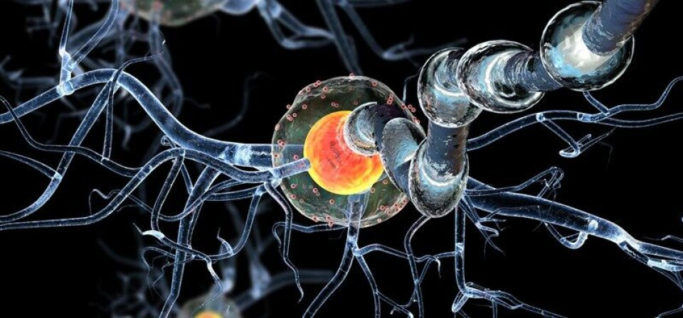 De europeiske legemiddelmyndighetene, EMA, anbefalte i fjor høst ocrelizumab til behandling både av attakkvis multippel sklerose og tidlig primær progressiv multippel sklerose. Foto: GettyImages
