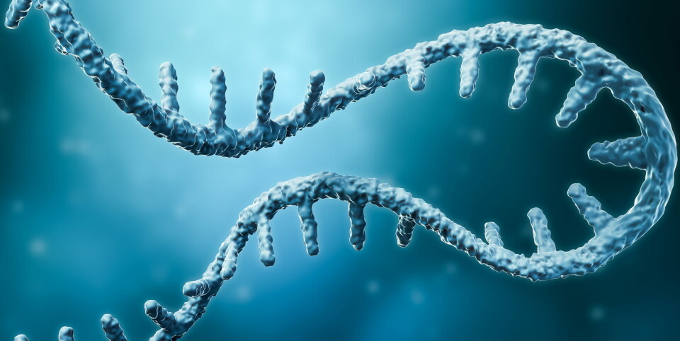 mRNA: Samarbeidsprosjektet gikk ut på å lage en formulering av mRNA i lipidpartikler. Illustrasjonsbilde av messenger RNA (mRNA): Getty Images Foto:
