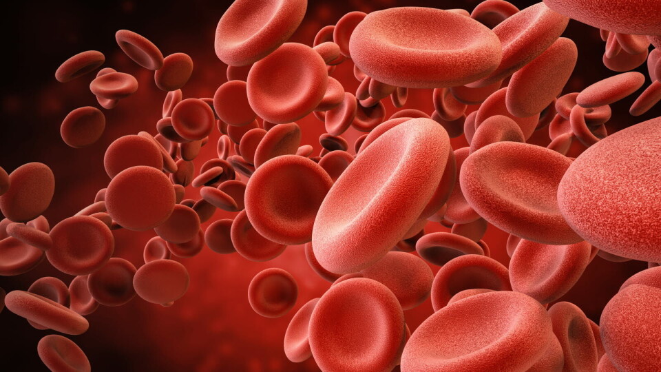 VIKTIGE DATA:– Dette kan potensielt endre på behandlingsparadigmet for PNH-pasienter, sier førsteforfatter av studien, professor Jun Ho Janh, ved Divisjon for hematologi-onkologi, Sungkyunkwan University School of Medicine. Illustrasjon:Getty Images Foto: