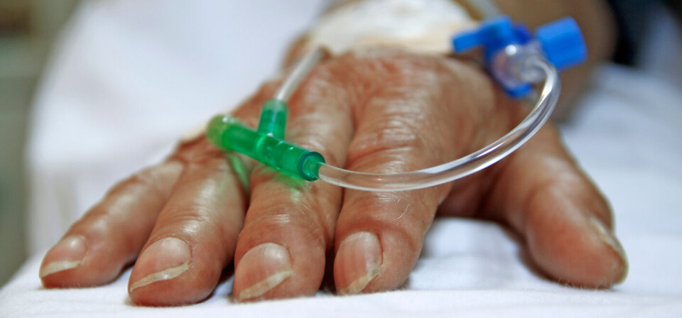 Foto: iStock/Getty Images
