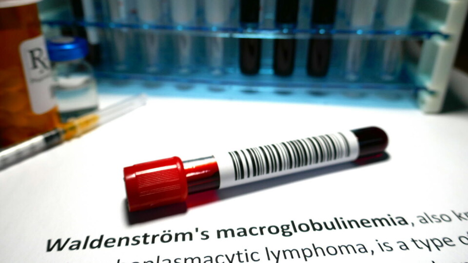 POTENSIAL: – Disse resultatene viser at pirtobrutinib potensielt kan hjelpe med å adressere flere områder med voksende umøtt behov, sier hemato-onkolog og professor i hematologi/onkologi, Susan O´Brien, om data fra Eli Lilly som ble publisert på den amerikanske hematologi-kongressen ASH. Illustrasjonsbilde: Getty Images Foto: POTENSIAL: – Disse resultatene viser at pirtobrutinib potensielt kan hjelpe med å adressere flere områder med voksende umøtt behov, sier hemato-onkolog og professor i hematologi/onkologi, Susan O´Brien, om data fra Eli Lilly som ble publisert på den amerikanske hematologi-kongressen ASH. Illustrasjonsbilde: Getty Images Foto: