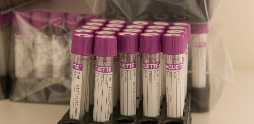 BLODPRØVE: Ved ikke-invasiv prenatal testing (NIPT) tas en blodprøve av den gravide kvinnen for å identifisere fosterets kjønn. Metoden baserer seg på analyse av fosterets cellefrie DNA. Arkivfoto Foto: