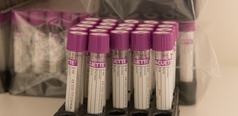 BLODPRØVE: Ved ikke-invasiv prenatal testing (NIPT) tas en blodprøve av den gravide kvinnen for å identifisere fosterets kjønn. Metoden baserer seg på analyse av fosterets cellefrie DNA. Arkivfoto Foto: BLODPRØVE: Ved ikke-invasiv prenatal testing (NIPT) tas en blodprøve av den gravide kvinnen for å identifisere fosterets kjønn. Metoden baserer seg på analyse av fosterets cellefrie DNA. Arkivfoto Foto: