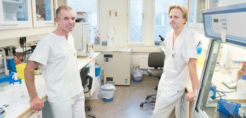 TARMBAKTERIE-FORSKERE: OUS-legene Marius Trøseid (t.v.) og Johannes Roksund har navnet sitt på mange studier om tarmbakterienes betydning for sykdom. Foto: Vidar Sandnes Foto: