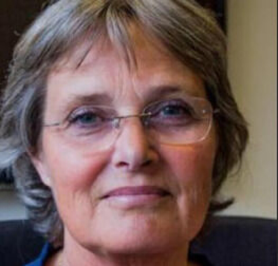 Heidi Vifladt