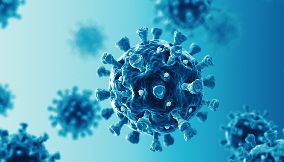 SEKS MILLIONER: Koronapandemien har krevd seks millioner menneskeliv, ifølge en oversikt fra universitetet Johns Hopkins. Illustrasjonsbilde av SARS-Cov-2-viruset: Getty Images Foto: