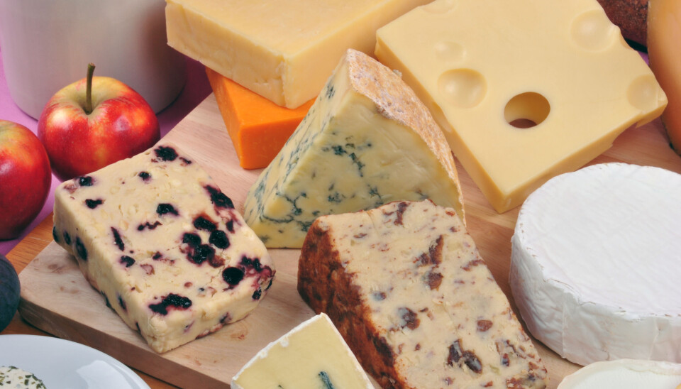 UNYANSERT: Med unyanserte kostholdsanbefalinger, der man freidig tar med seg melkefett i dragsuget uten å se på studier som er gjort, kan framtidens holdning være at man velger tilskudd fremfor matvarer, skriver Helge Einar Lundberg. Foto: Joerg Beuge