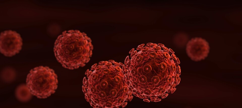 FJERNET VIRUS: Amerikanske forskere har studert hvordan genredigeringsmetoden CRISPR kan brukes til å fjerne viruset i mus. Foto: Getty Images FJERNET VIRUS: Amerikanske forskere har studert hvordan genredigeringsmetoden CRISPR kan brukes til å fjerne viruset i mus. Foto: Getty Images