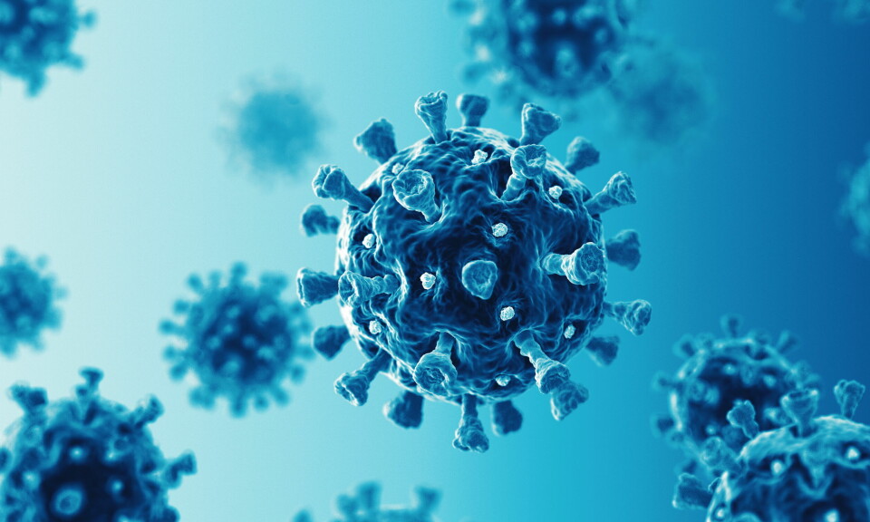 SAMMENLIGNET: En ny studie ved Folkehelseinstituttet (FHI) har sammenlignet smittespredning for variantene delta og omikron av SARS-CoV-2-viruset i norske husstander i desember 2021. Illustrasjonsbilde: Getty Images Foto: