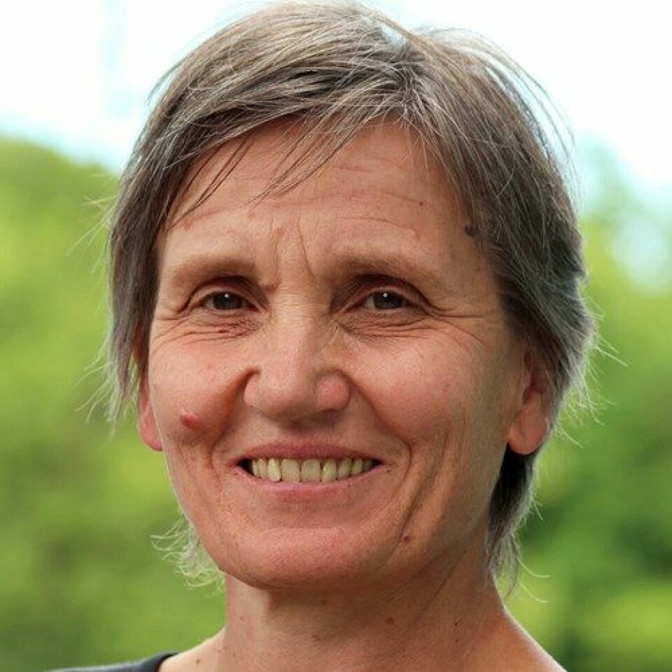 Professor og leder for Mammografiprogrammet, Solveig Hofvind, Kreftregisteret

            
                Foto: Elisabeth Jakobsen, Kreftregisteret
