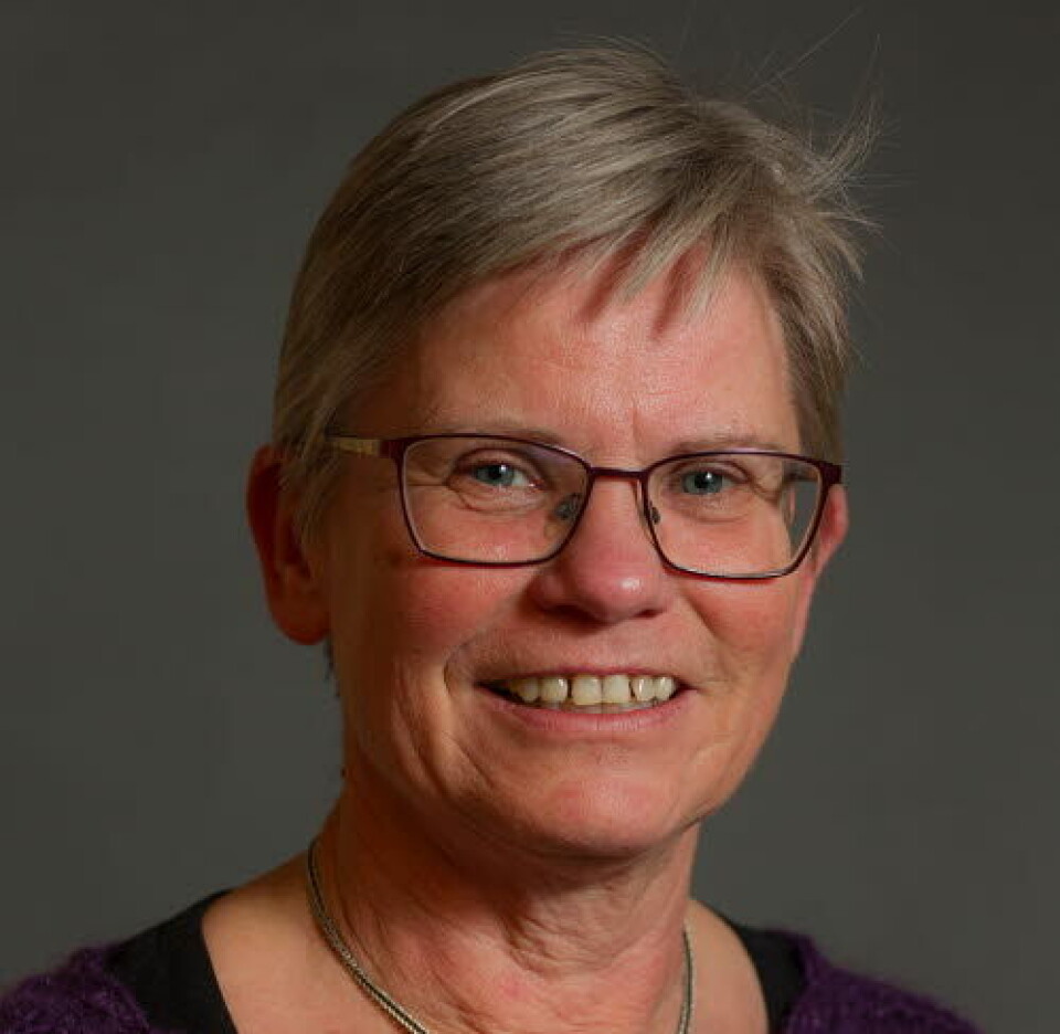 Anne Markestad