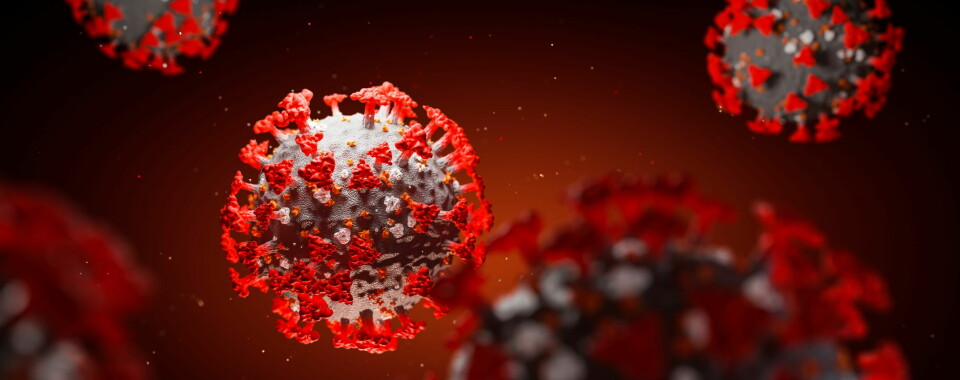 NY VARIANT: En variant av koronaviruset som er utbredt i Sør-Afrika vekker bekymring. Foto: Getty Images