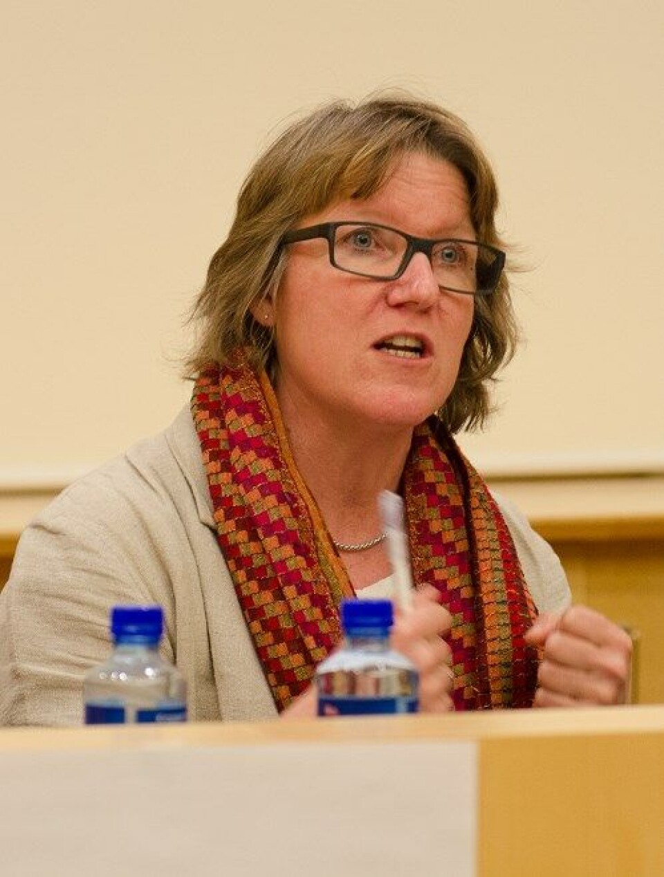 FØLGER OPP: – Vi vil følge innsatsen tett videre, sierAlice Beathe Andersgaard, direktør medisin- og helsefag, Helse Sør-Øst.