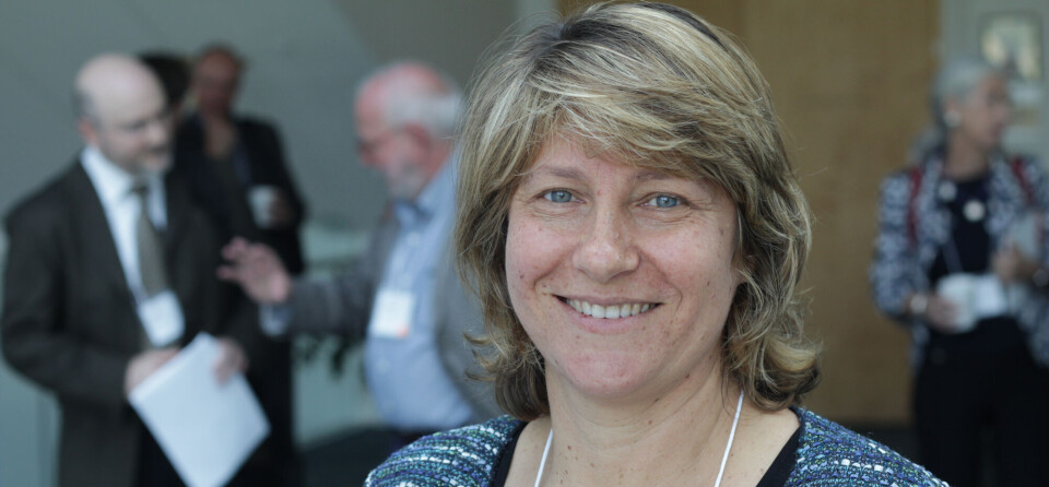 SER IKKE: – Det er vanskelig å måle overdiagnostikk, fordi en bruker observerte empiriske data for å estimere en uobservert mengde, sier Ruth Etzioni, professor i biostatistikk ved University of Washington. Foto: Lasse Moe