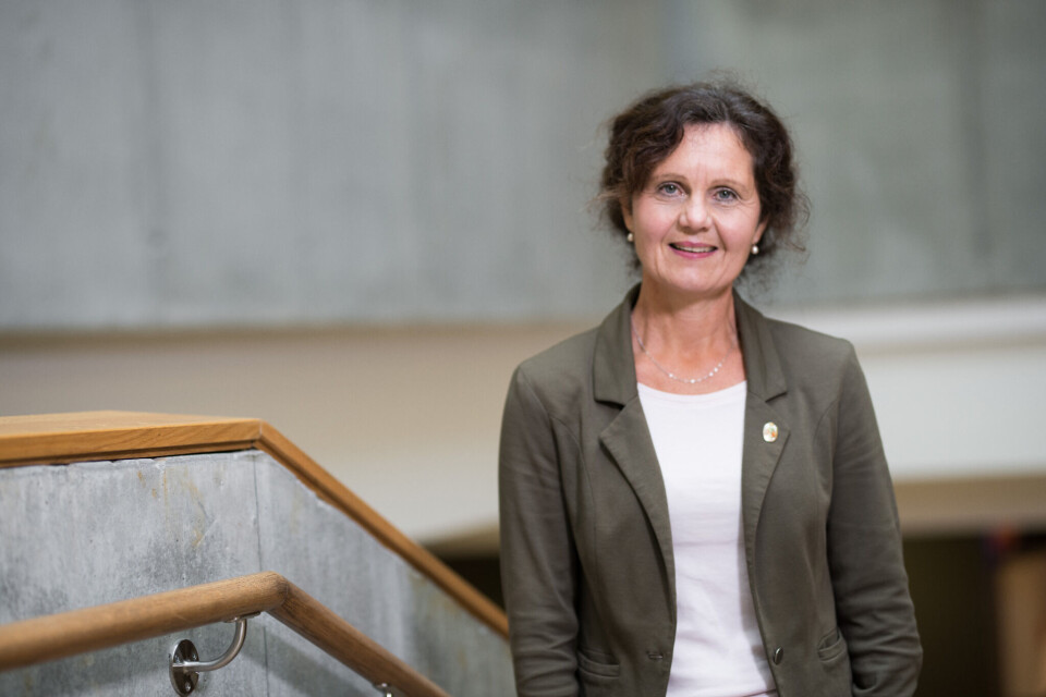 Wenche P. Dehli, helse- og velferdsdirektør i Trondheim kommune. Foto: Anne Lise Norheim Wenche P. Dehli, helse- og velferdsdirektør i Trondheim kommune. Foto: Anne Lise Norheim