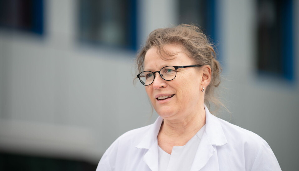 ENGASJERT: Åslaug Helland er spesialist i onkologi, forskningsleder ved Oslo universitetssykehus’ kreftklinikk og professor ved Universitetet i Oslo. Foto: Vidar Sandnes ENGASJERT: Åslaug Helland er spesialist i onkologi, forskningsleder ved Oslo universitetssykehus’ kreftklinikk og professor ved Universitetet i Oslo. Foto: Vidar Sandnes