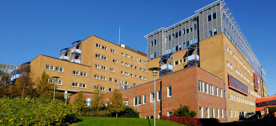 JAKTER NY DIREKTØR: Ansettelse av direktøren ved Universitetssykehuset i Nord-Norge, skal være klar i midten av november. Foto: Jan Fredrik Frantzen.